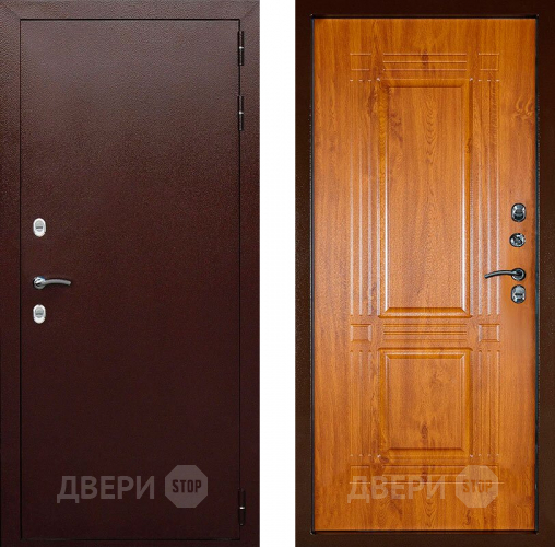 Входная металлическая Дверь Аргус Тепло-1 в Чехове