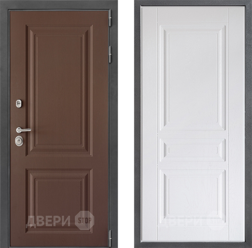 Входная металлическая Дверь Дверной континент ДК-3/729 ФЛ-243 Альберо Браш серебро в Чехове