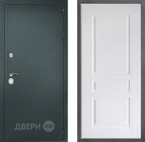 Входная металлическая Дверь Дверной континент Рубикон Серебро Дизайн ФЛ-243 Альберо Браш серебро в Чехове