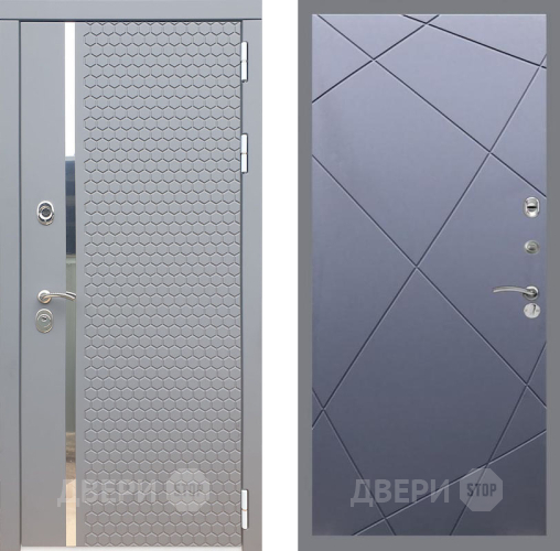 Дверь Рекс (REX) 24 FL-291 Силк титан в Чехове