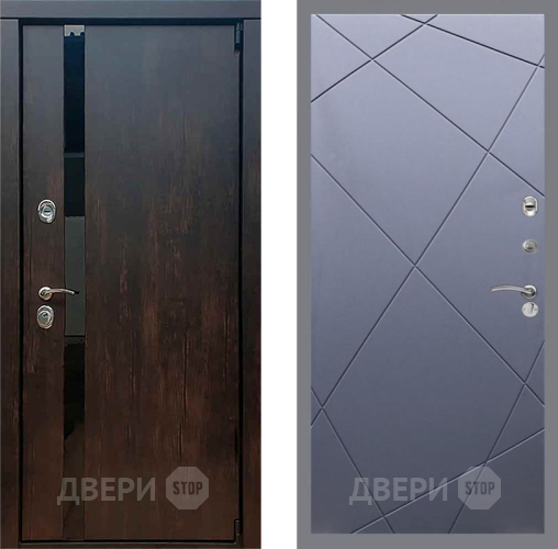 Дверь Рекс (REX) 26 FL-291 Силк титан в Чехове